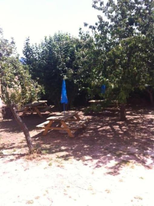 Appartement Dans Maison De Village Piana  Extérieur photo